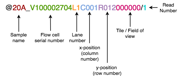 Elements of a BGI header