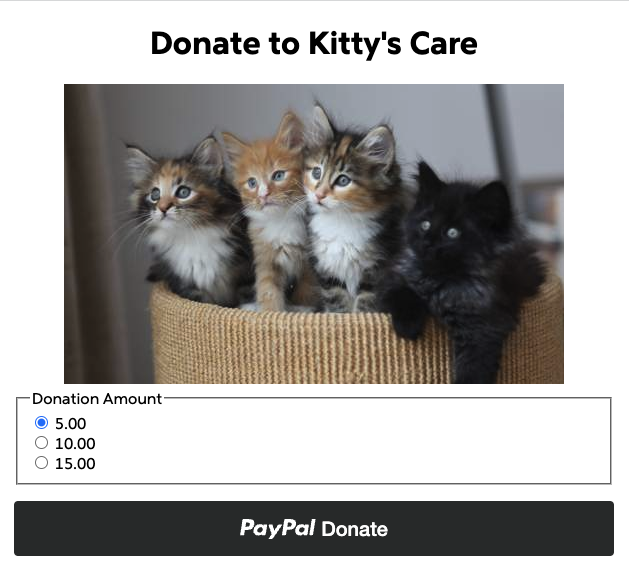 App Donate form screenshot