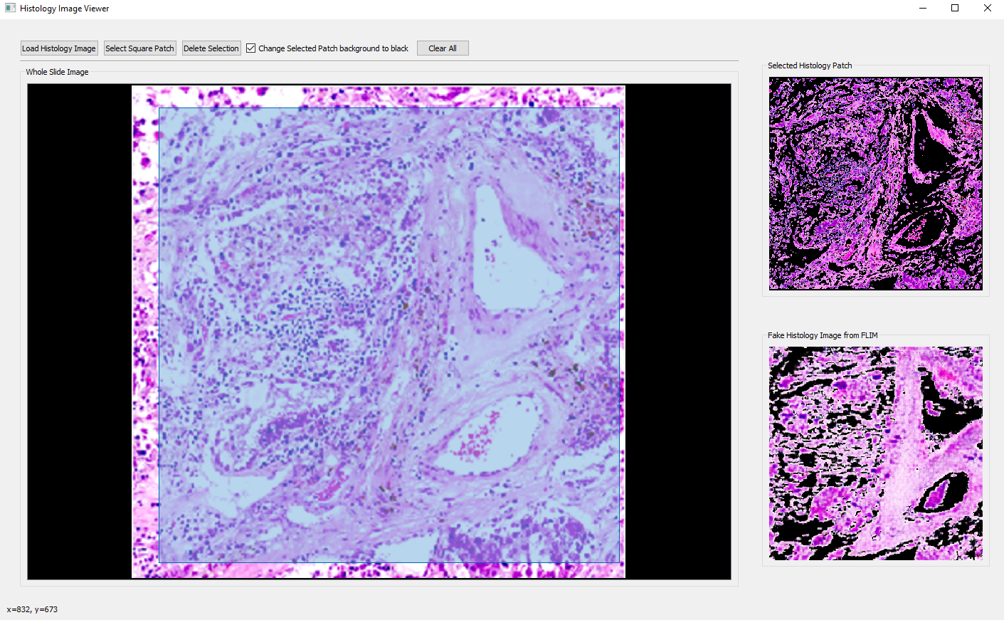 Histology image viewer