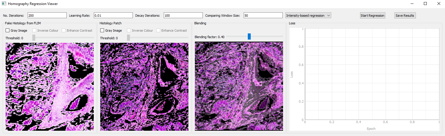 Homography regression viewer