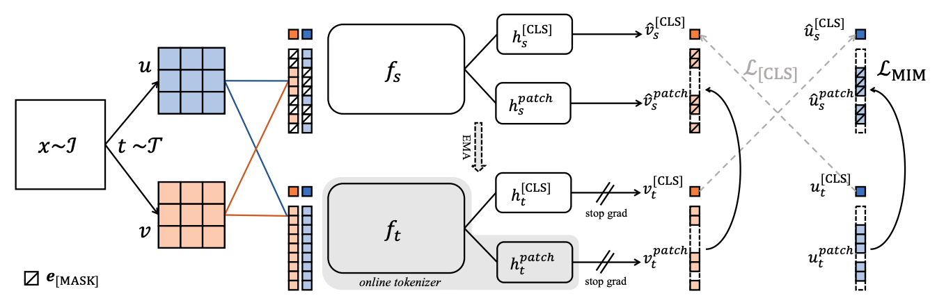 iBOT framework