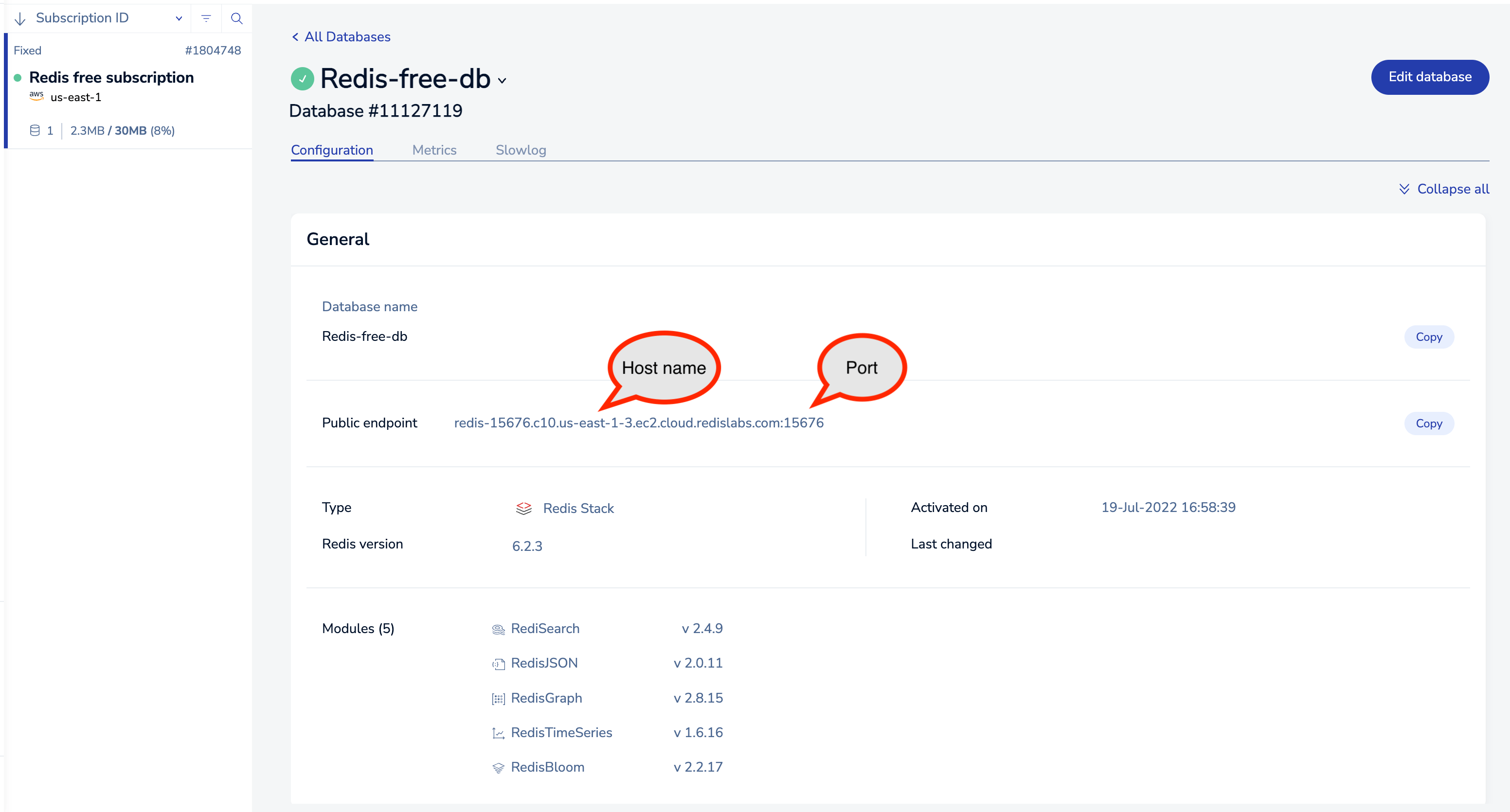 Redis Cloud database details