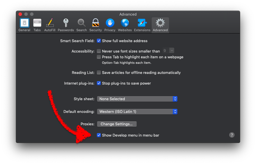 Enable Developer options on Safari