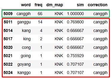 df_correction_canggih.jpg