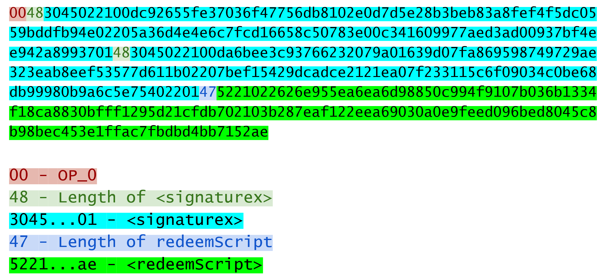 p2sh ScriptSig