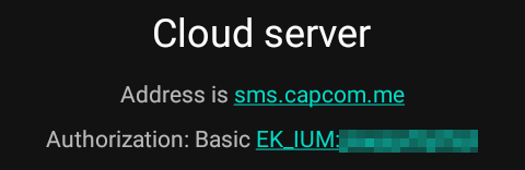 Cloud server example settings