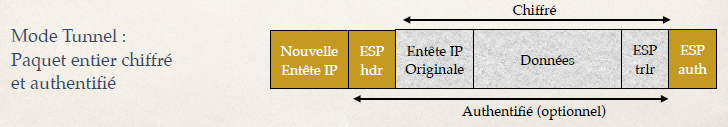 Q10-thESP