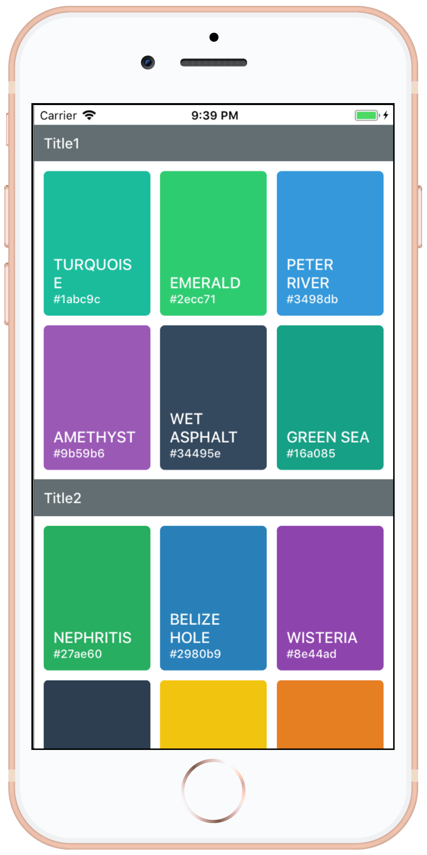 iPhone SectionGrid Portrait