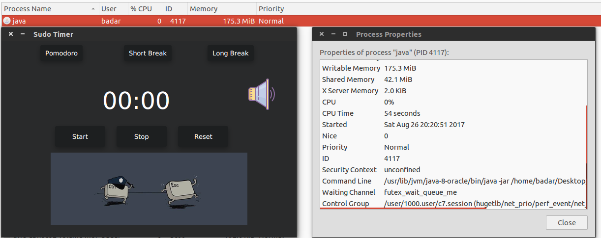 System Monitor Memory Usage