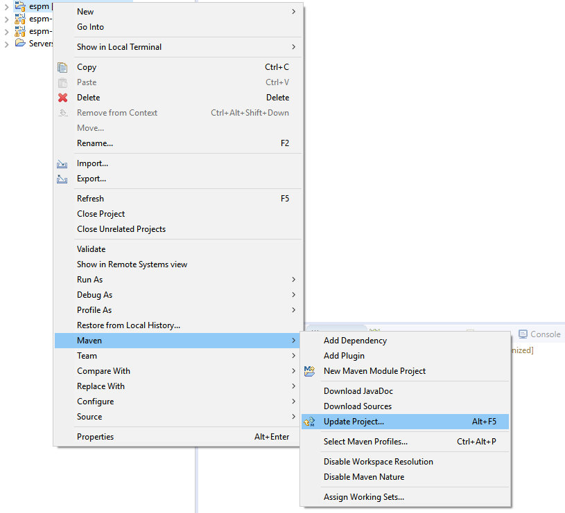 Maven Update