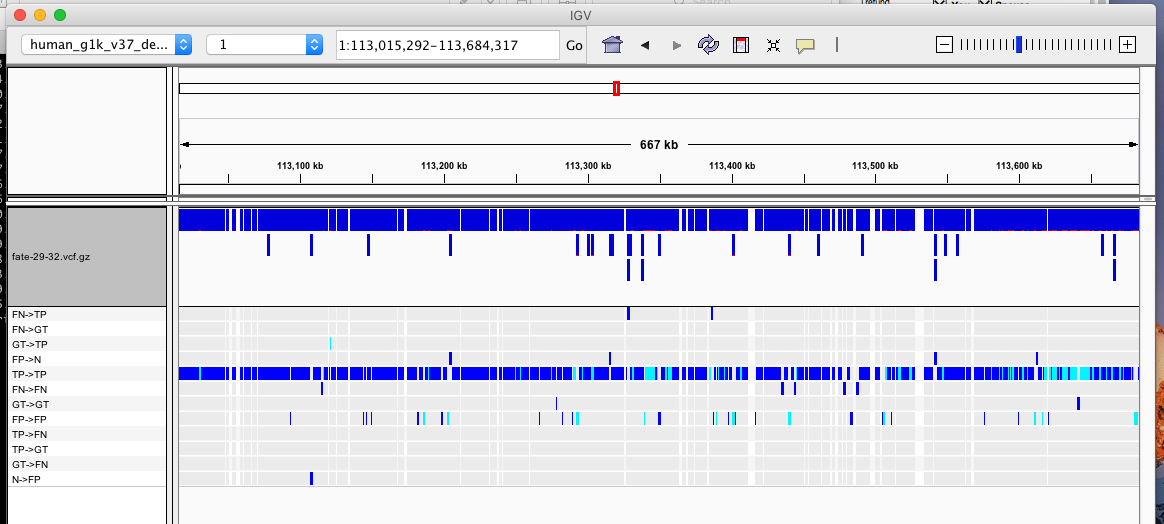 call-fate VCF overlay on IGV
