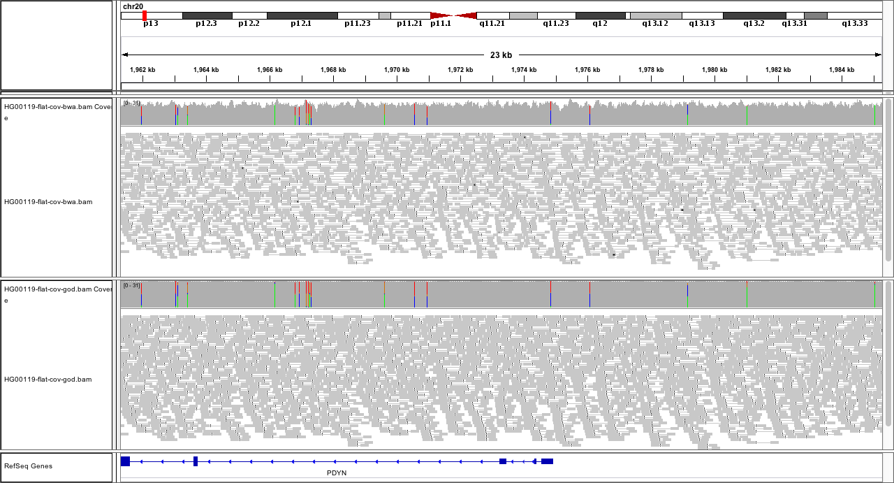 IGV screenshot comparing correct alignments with BWA alignments