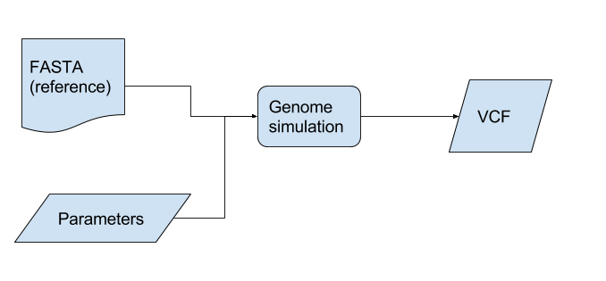 Genome simulation