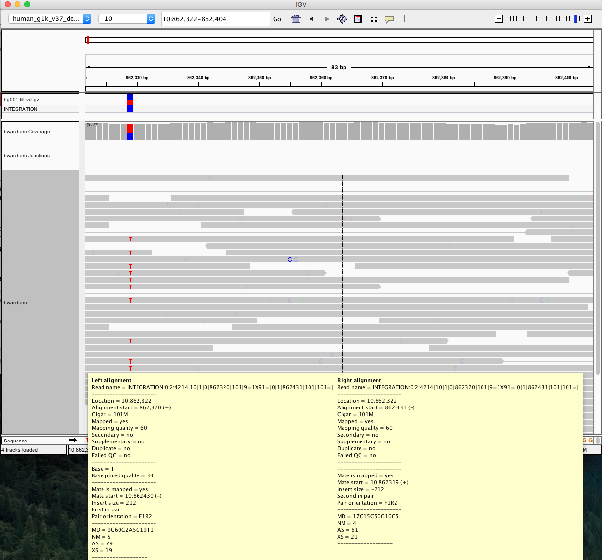 IGV screenshot showing read qname and one het variant