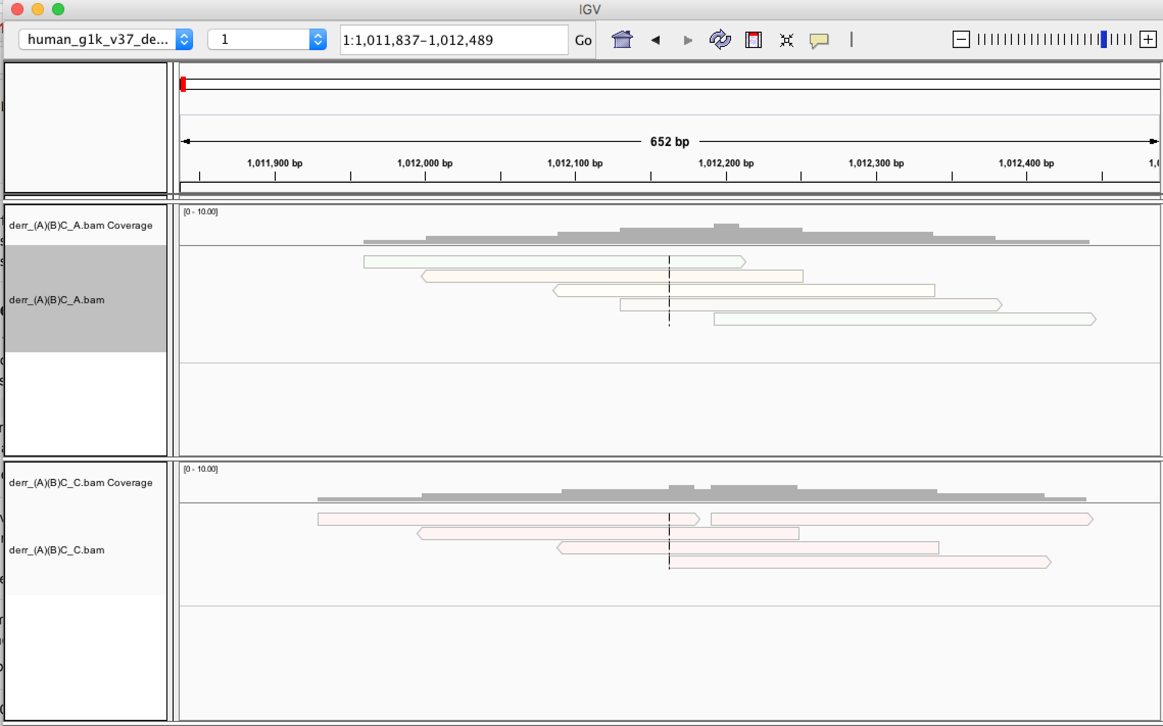 IGV Bam Partitions