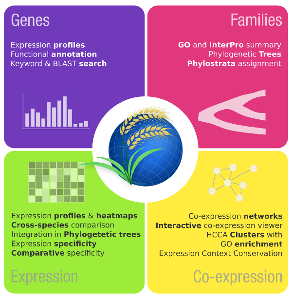 features_overview