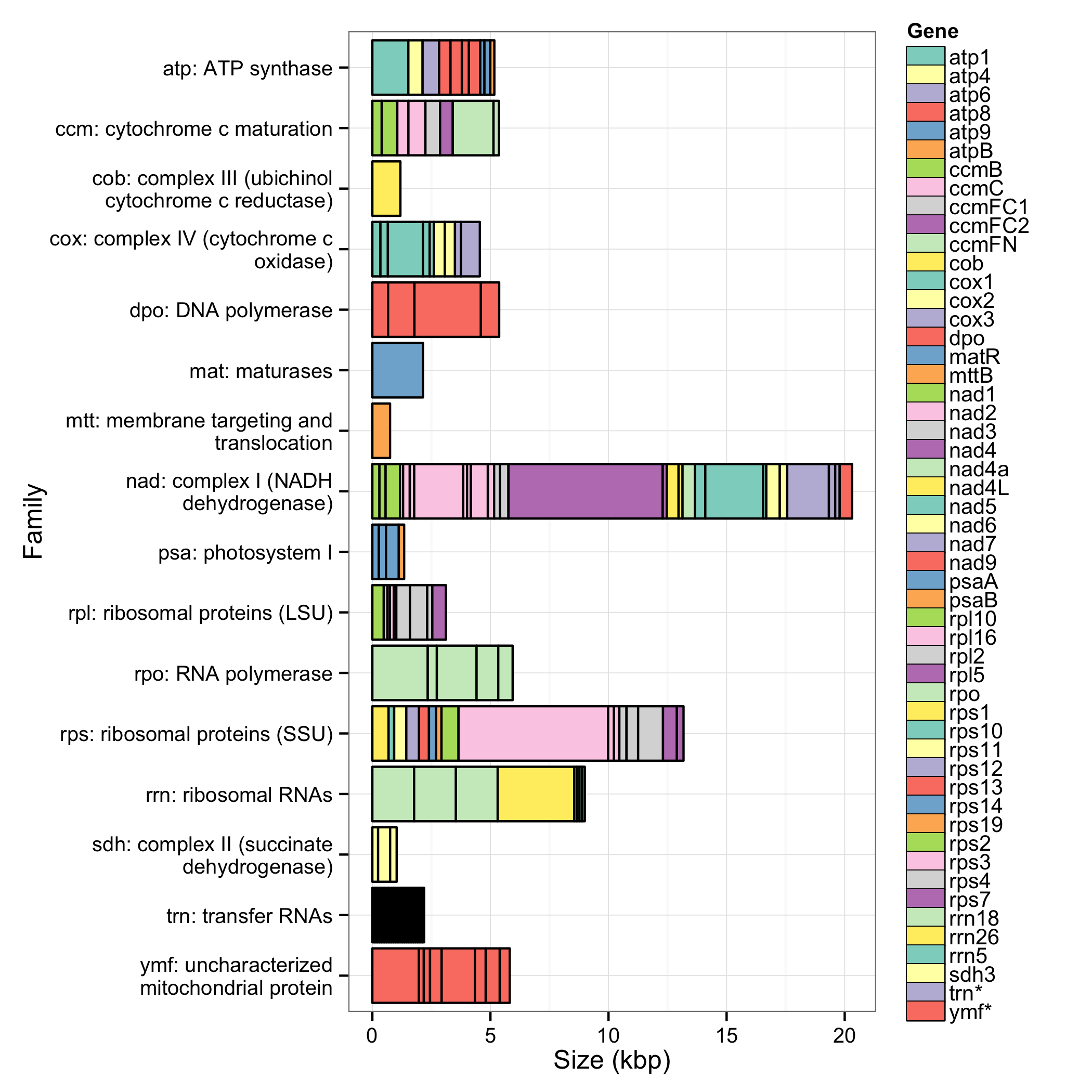 Figure 3: The gene content of the white spruce mitochondrial genome, grouped by gene family. Each box is proportional to the size of the gene including introns. The colour of each gene is unique within its gene family.