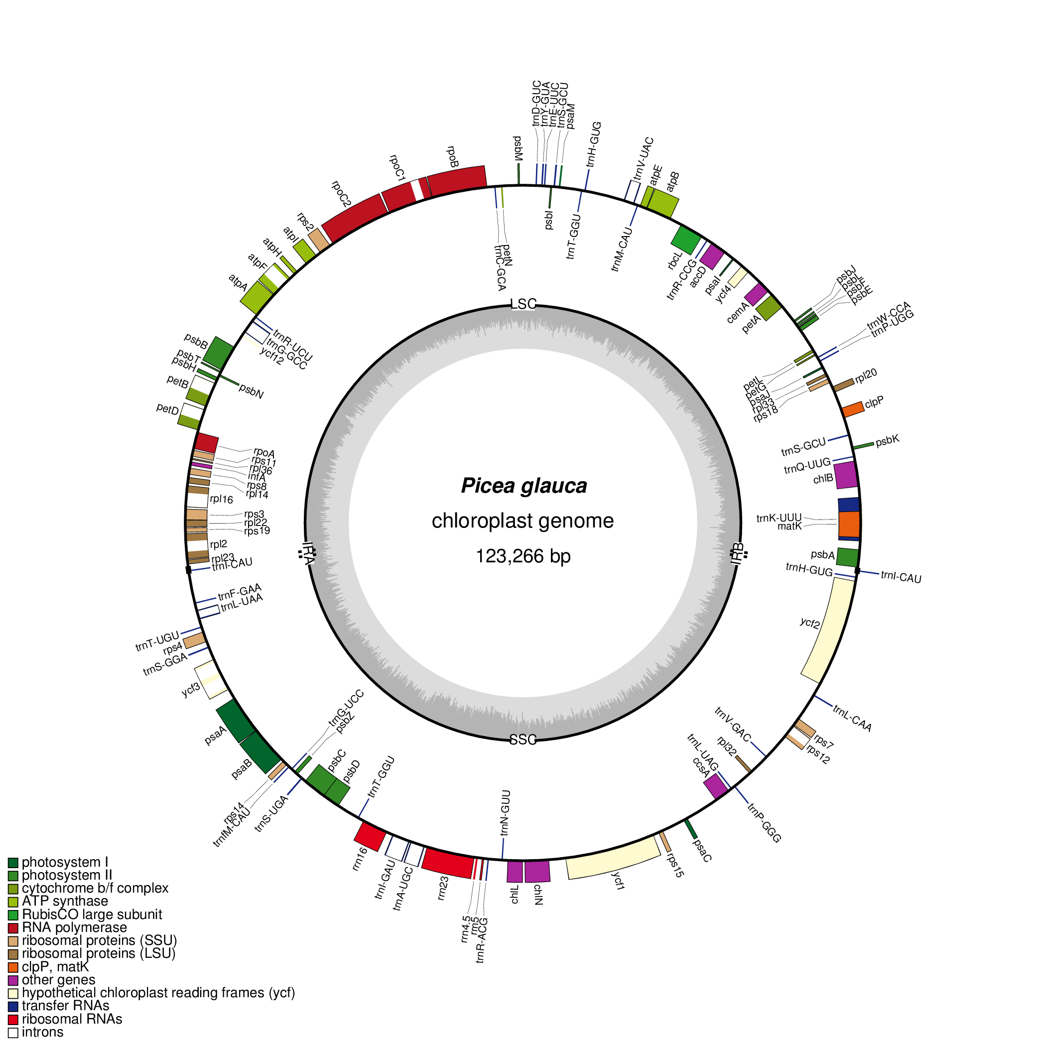 Figure 1: The complete plastid genome of white spruce, annotated using MAKER and plotted using OrganellarGenomeDRAW (Lohse et al. 2007).