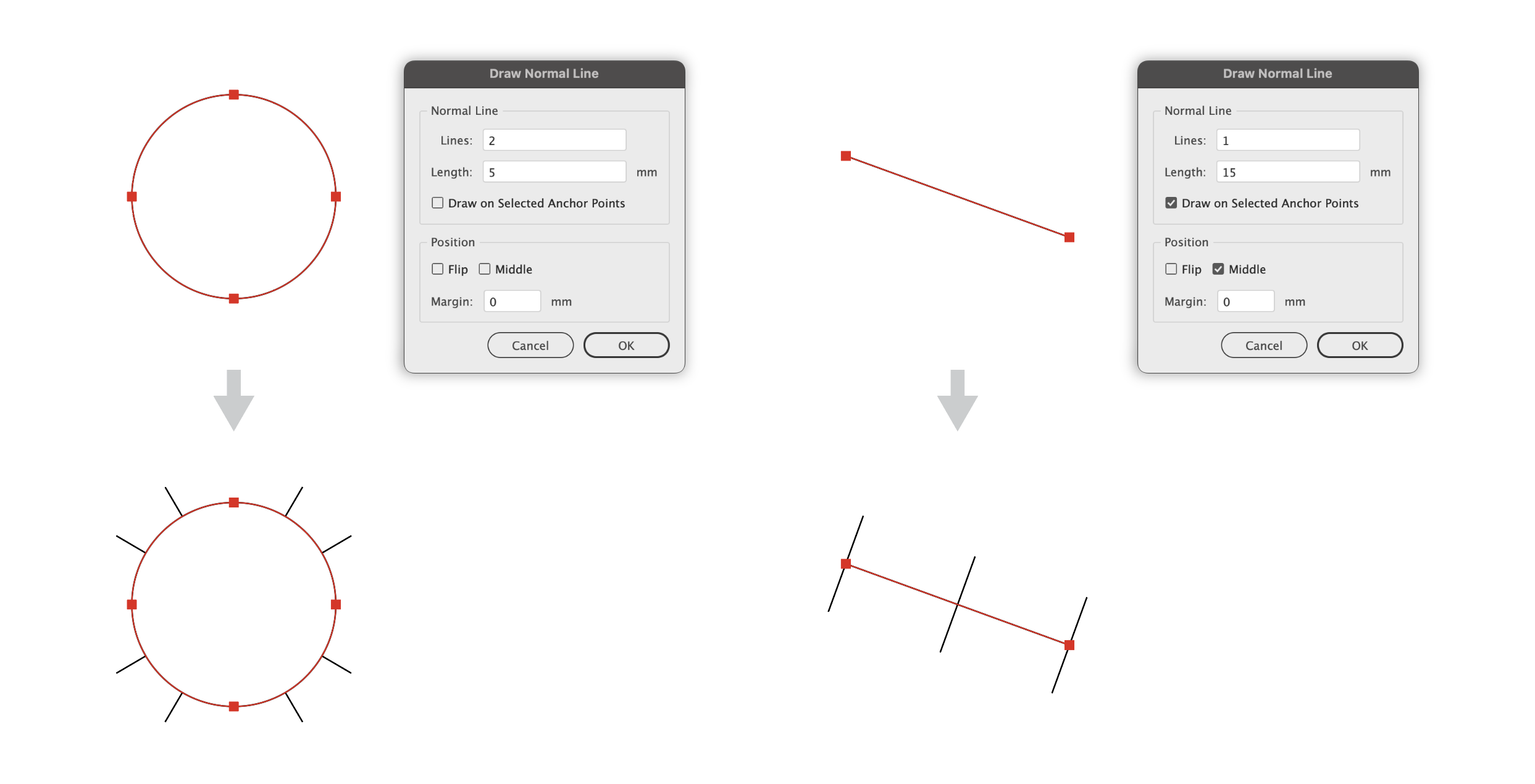 Draw Normal Line