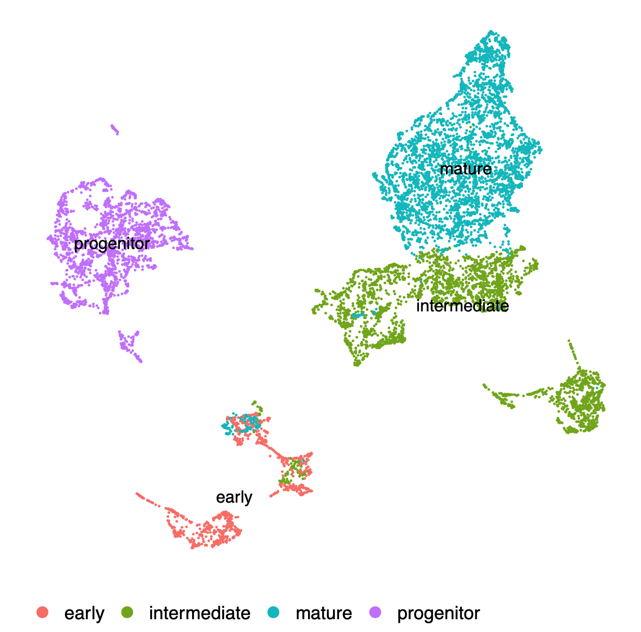 metacell UMAP