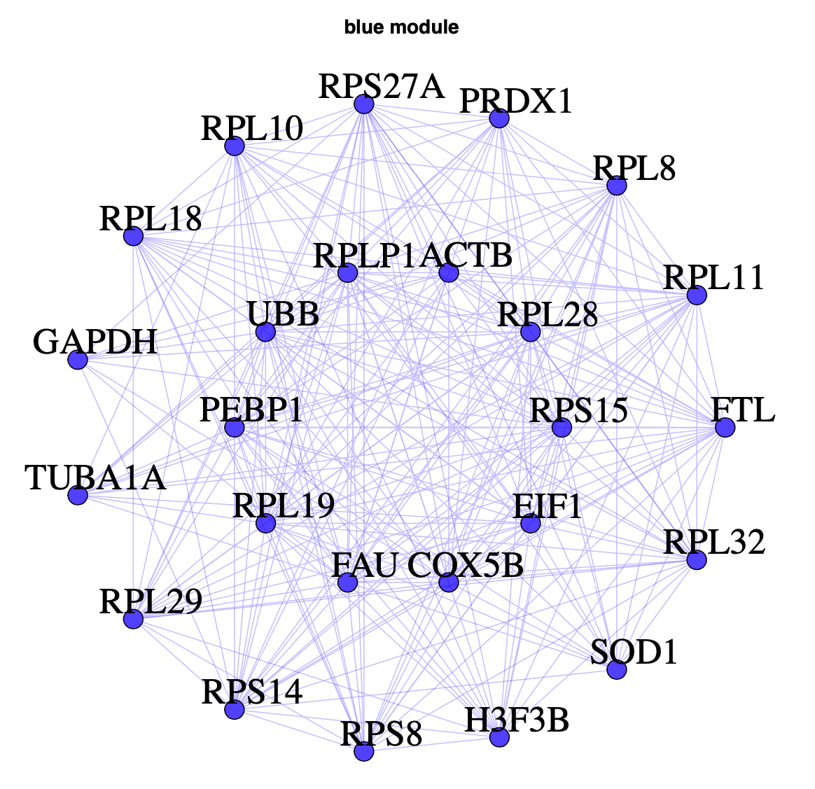 blue network