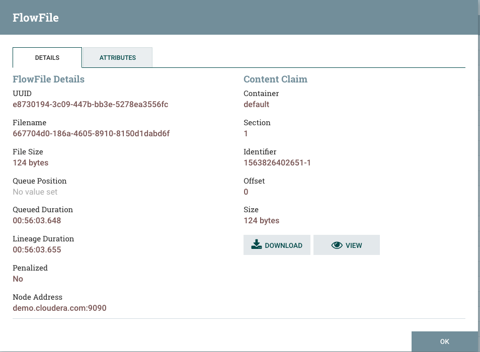 Flowfile Details