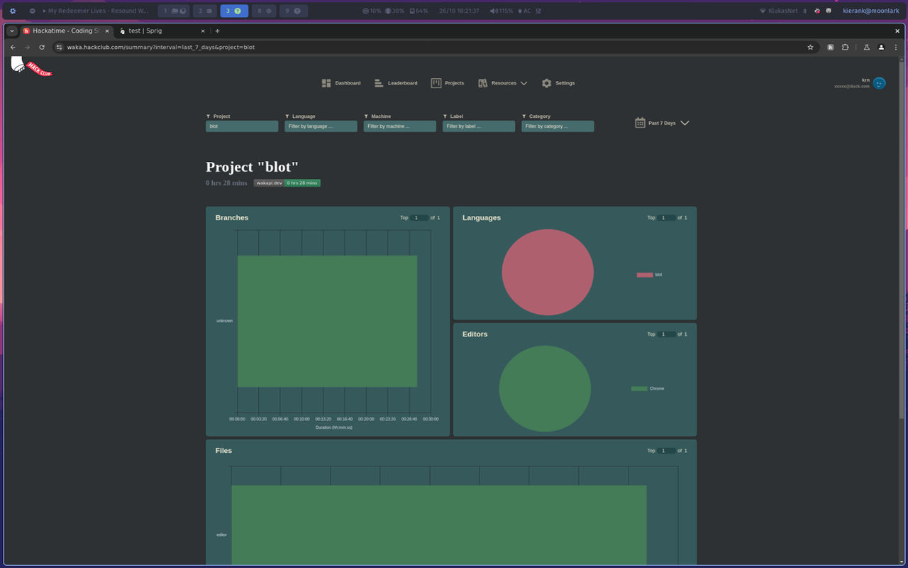 the hackatime extension tracking a blot project