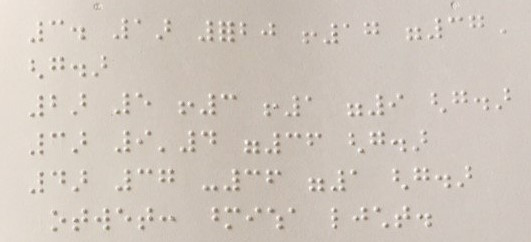 Braille Image