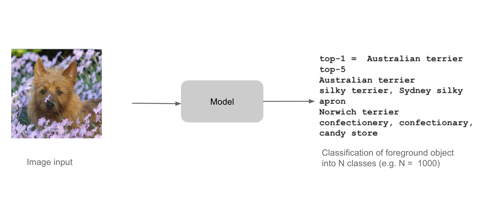 Single Object Classification