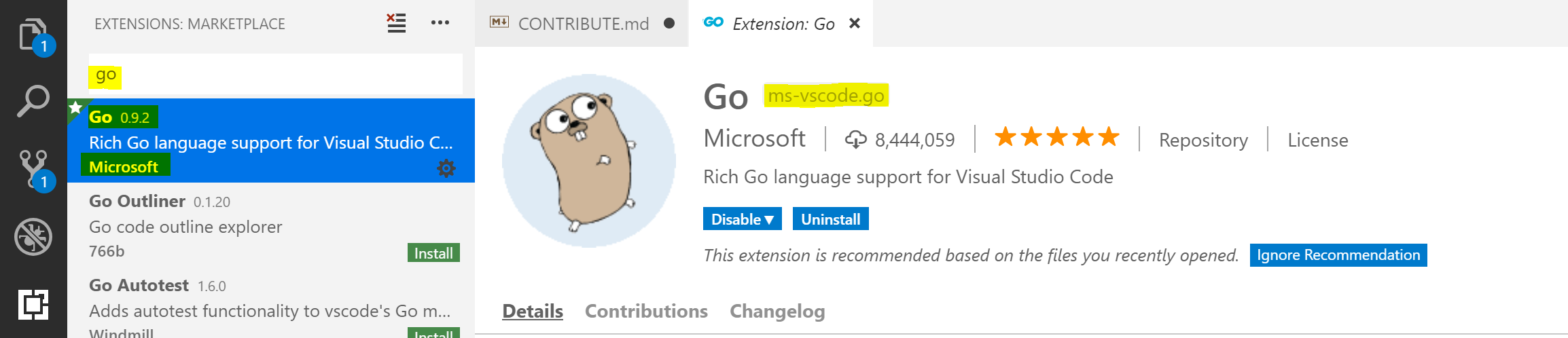 VS Code Go Extension