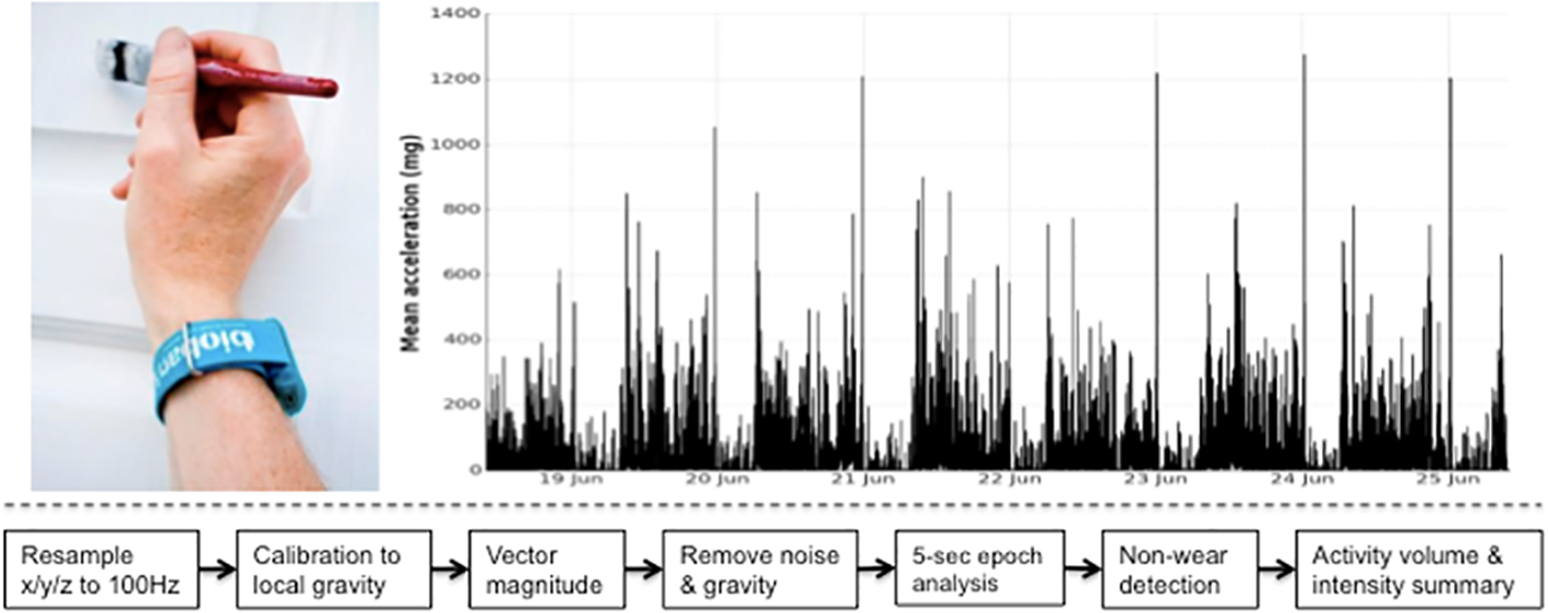 Accelerometer data processing overview