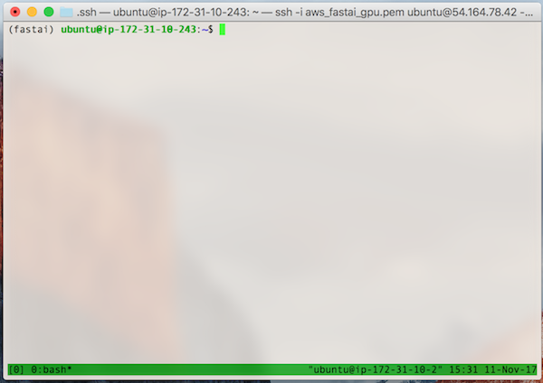 tmux start