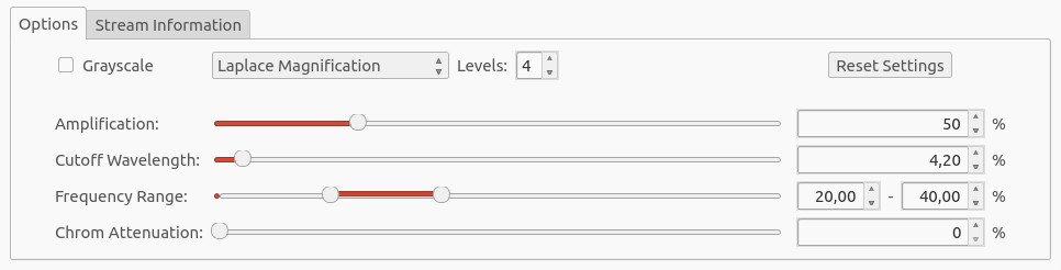 Panel for Motion Magnification Options