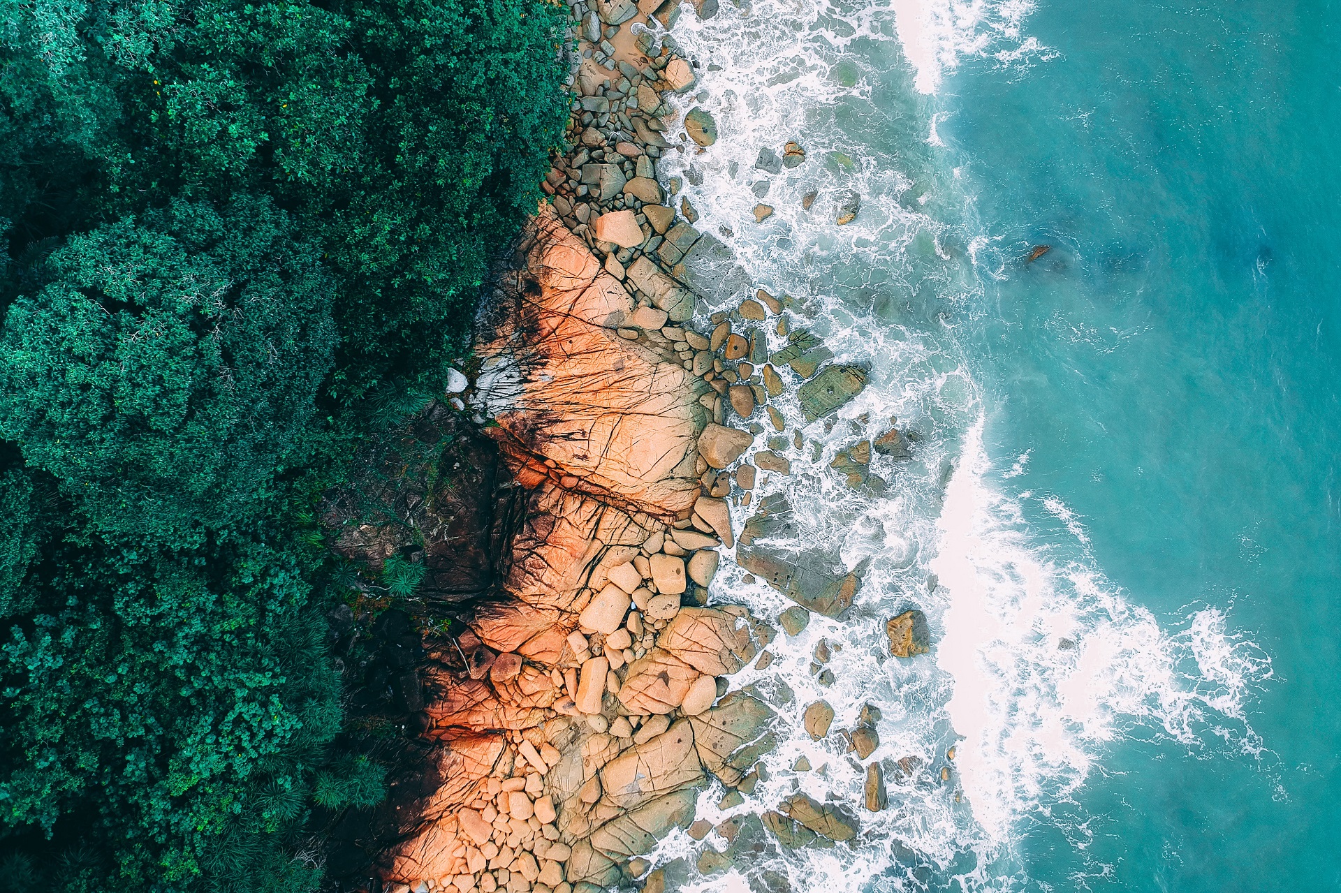 a_rocky_beach_with_trees_and_water