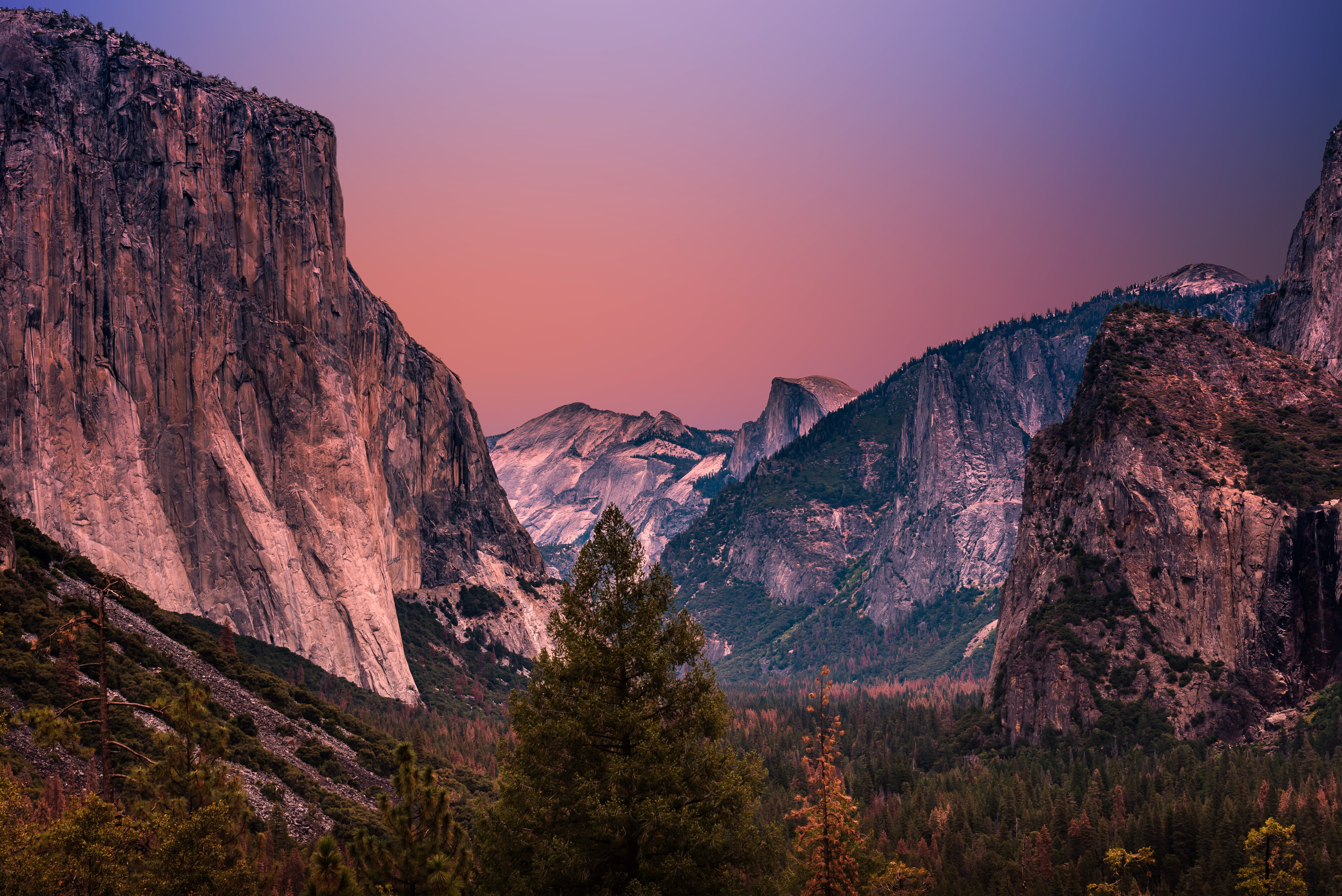 a_mountain_range_with_trees_and_a_valley