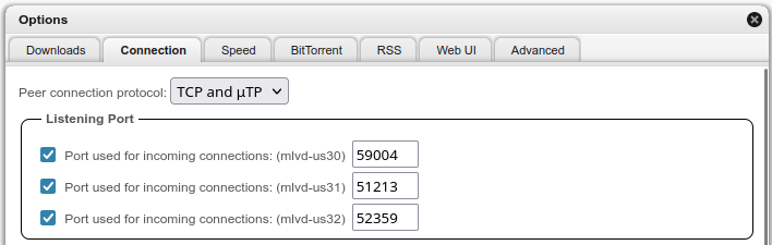 qBittorrent connection page, filled