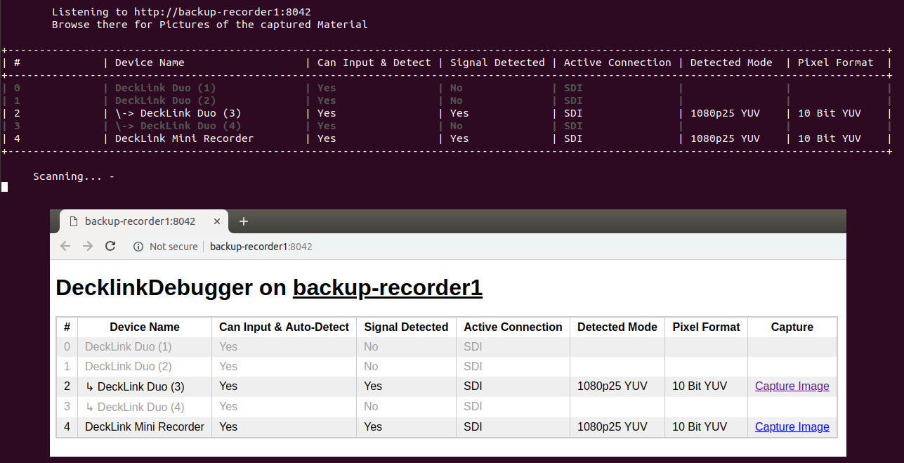 Screenhot of the running tool, showing its terminal-output as well as the Web-GUI