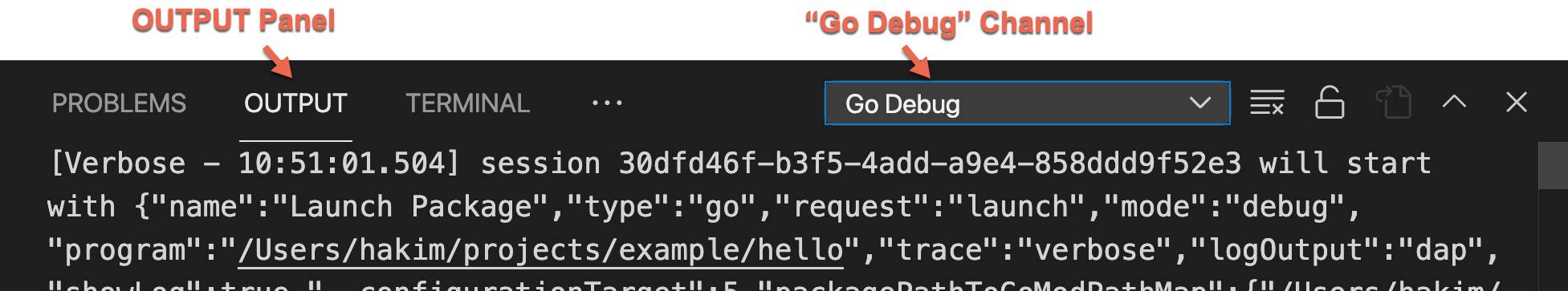 Go Debug output channel