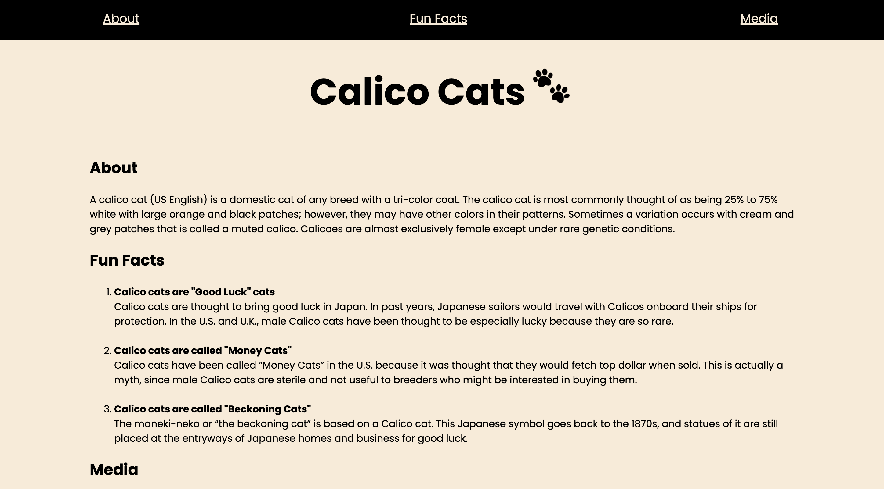 Calico cats blog