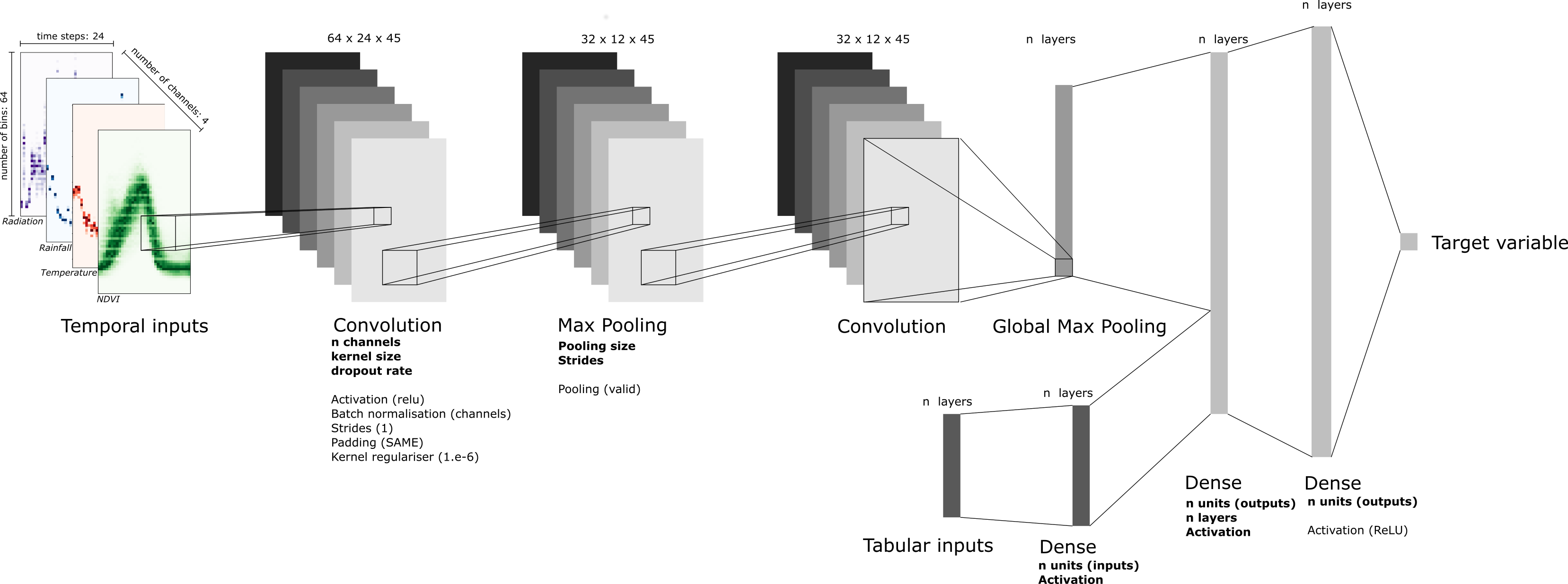 Model architecture