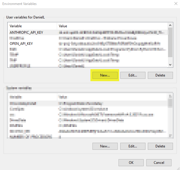 Environment Variable Setup