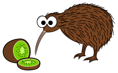 kiwi and kiwi bird