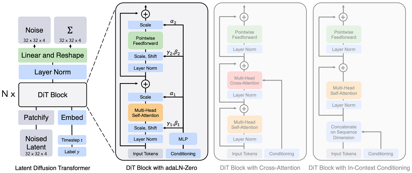 diffusion transformer architecture