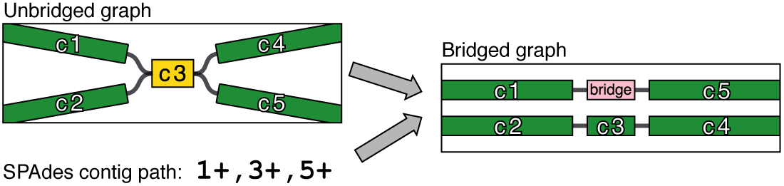 Short read bridging