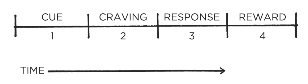 habit-building-stages