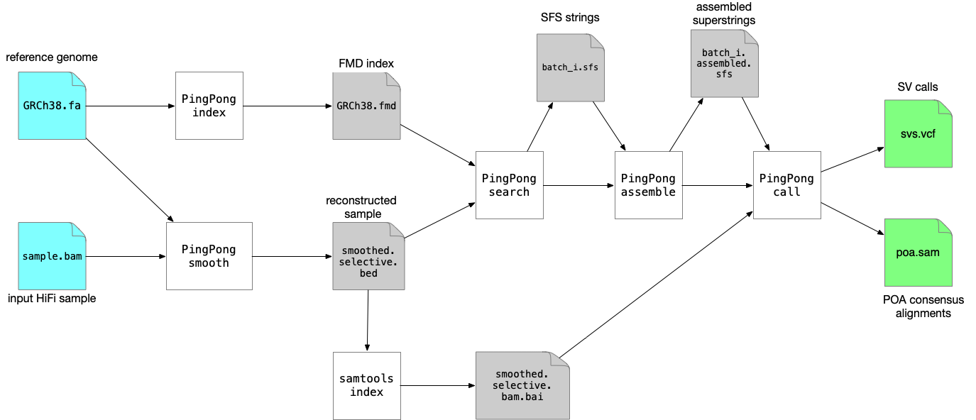 SVDSS's pipeline