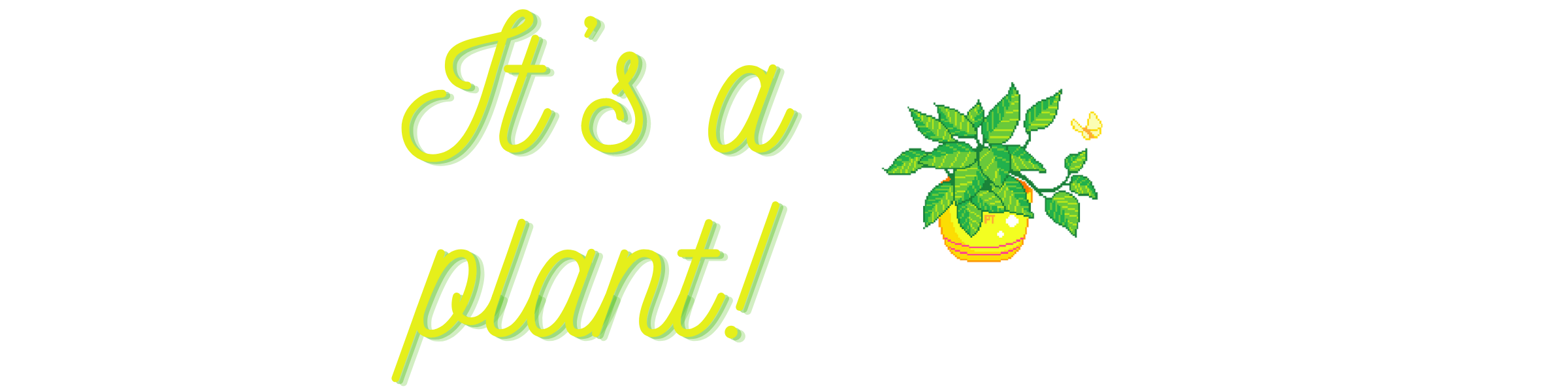 Graphic of the words "It's a plant!" to the left of an image of a potted plant.